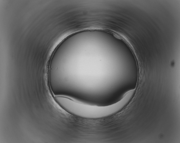 X0000116331243200912151258
