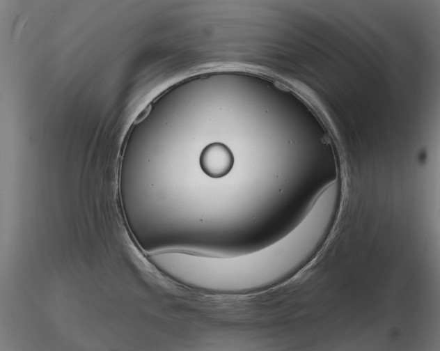 X0000116331244200912151258
