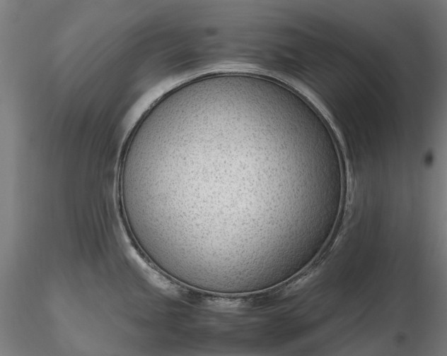 X0000116331245200912151258