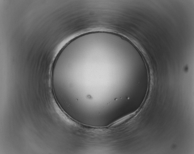 X0000116331246200912151258