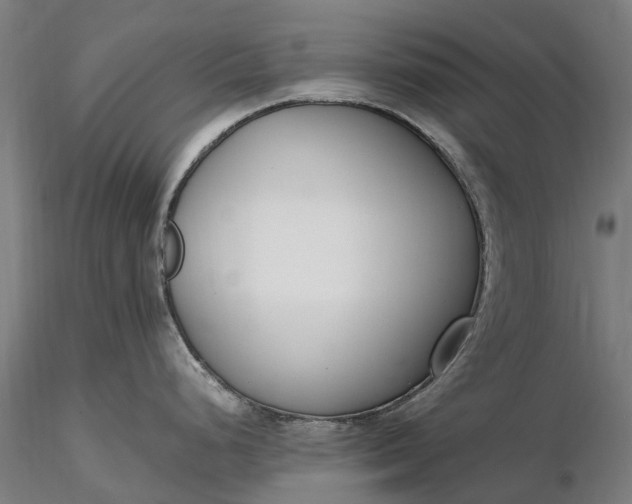 X0000116331248200912151258