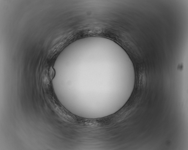 X0000116331250200912151258