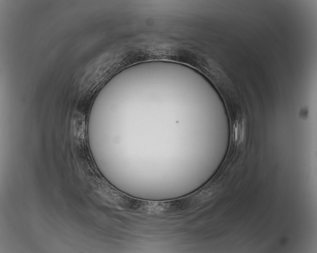 X0000116331251200912151258