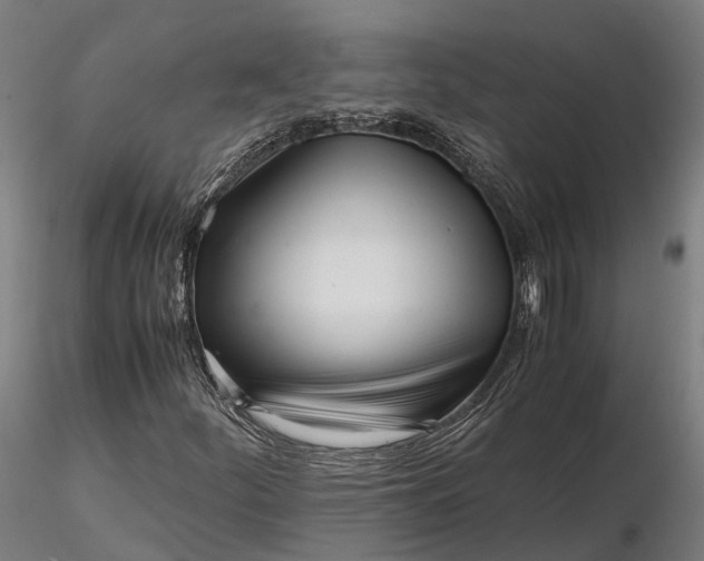 X0000116331252200912151257