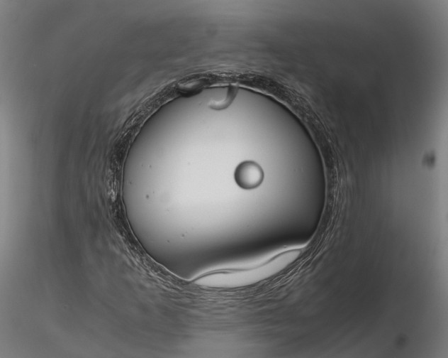 X0000116331253200912151257