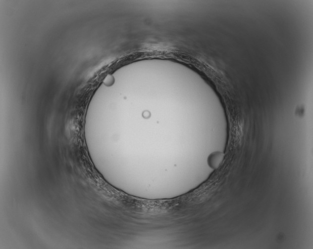 X0000116331254200912151257