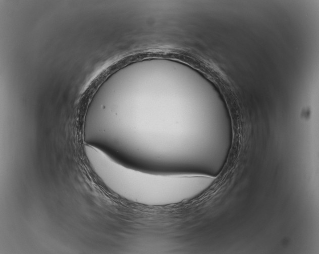 X0000116331256200912151257