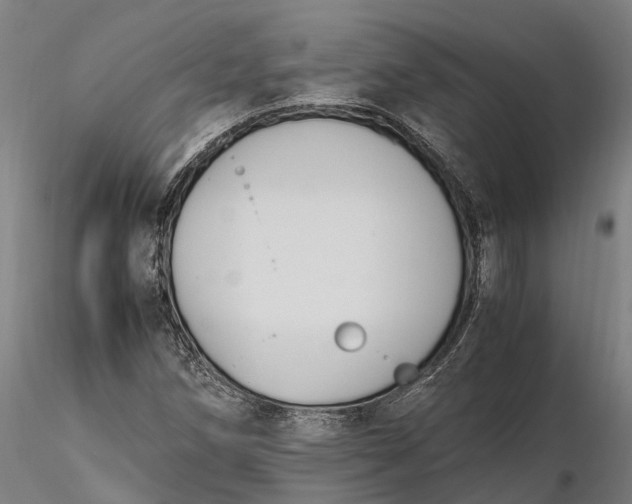 X0000116331258200912151257
