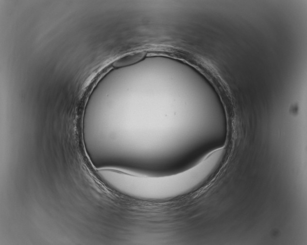 X0000116331260200912151257