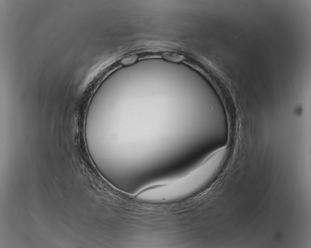 X0000116331261200912151257
