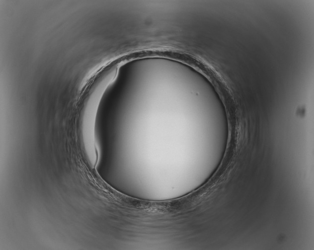 X0000116331262200912151257