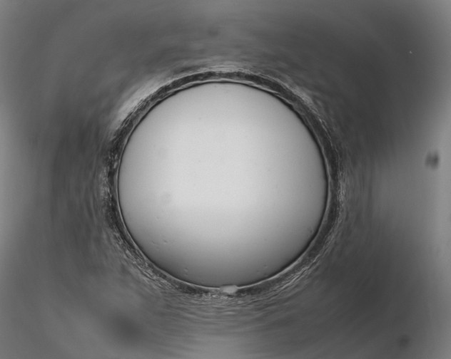 X0000116331263200912151257