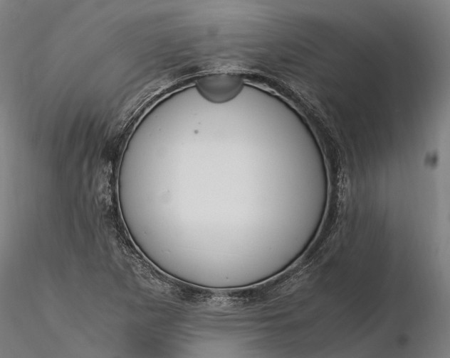 X0000116331265200912151257