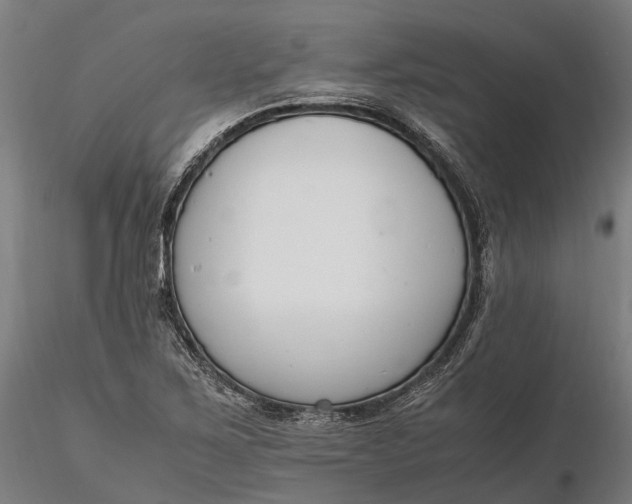 X0000116331267200912151257