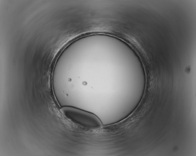 X0000116331268200912151257