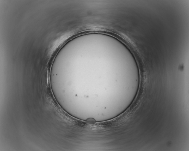 X0000116331269200912151257