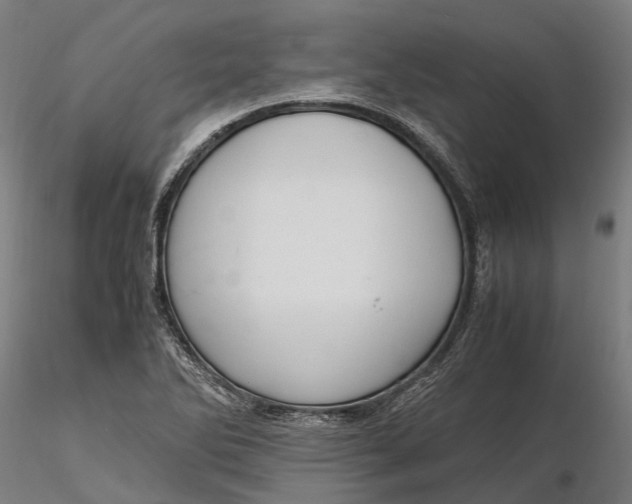 X0000116331270200912151257