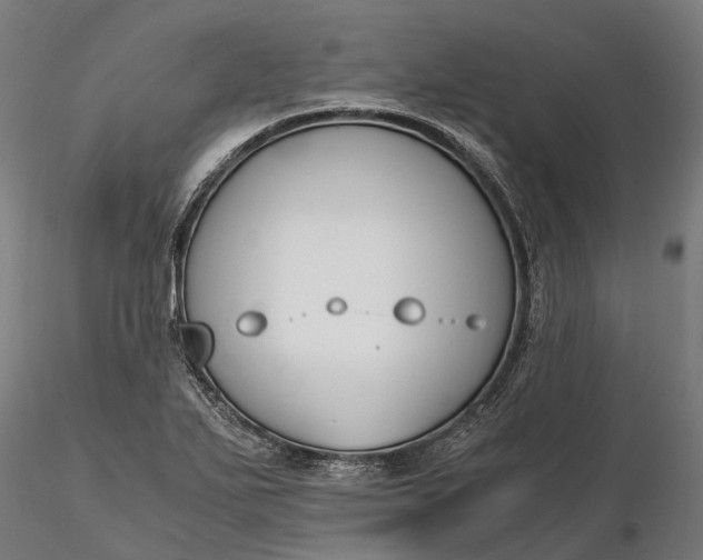 X0000116331271200912151257