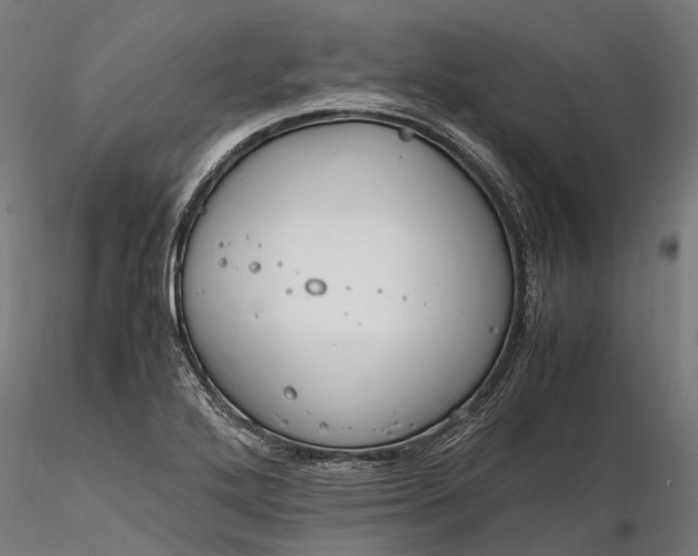 X0000116331272200912151257