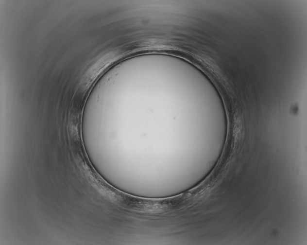 X0000116331273200912151257