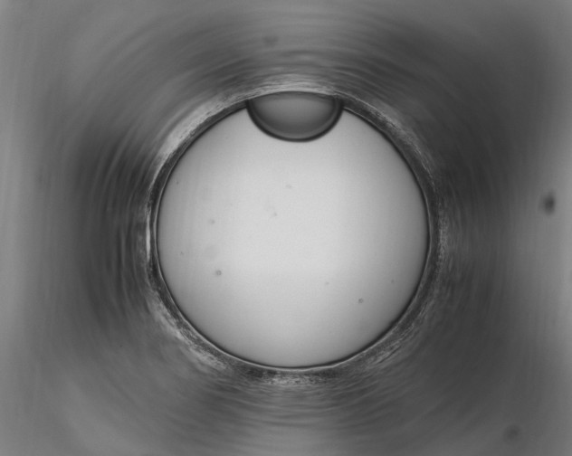 X0000116331274200912151257