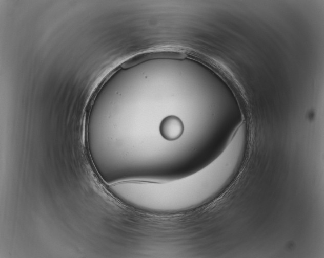 X0000116331276200912151257