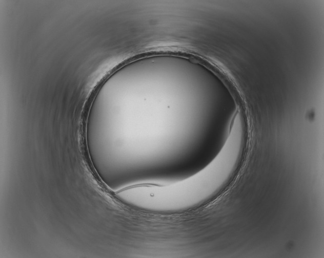 X0000116331277200912151257
