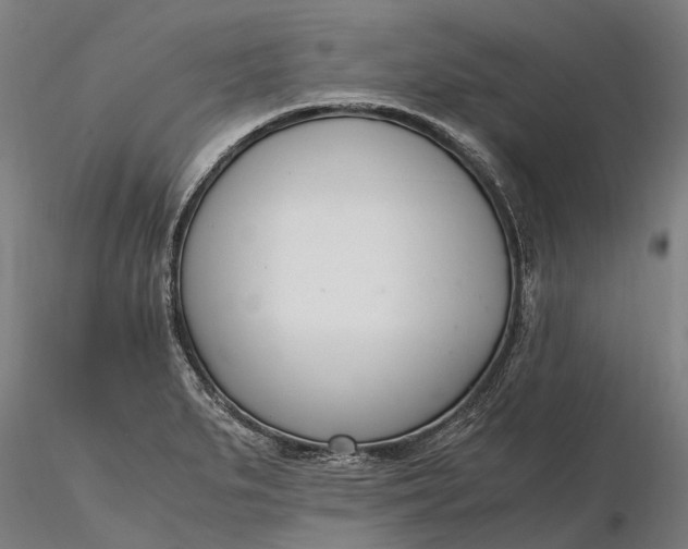 X0000116331279200912151257