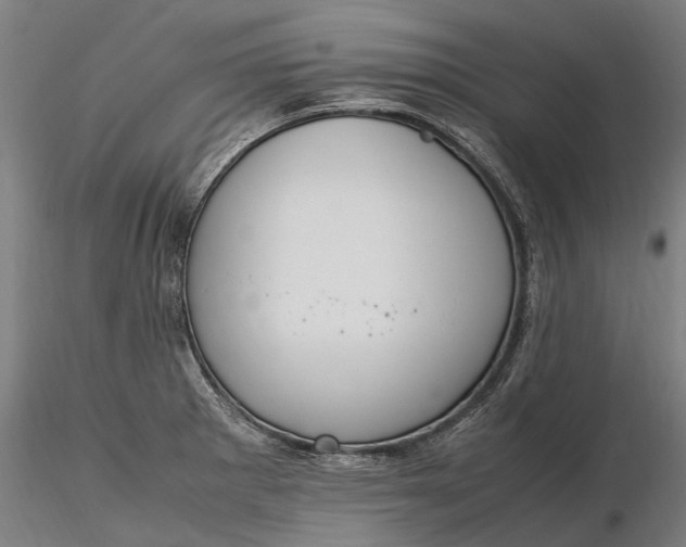 X0000116331281200912151257