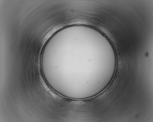 X0000116331282200912151257