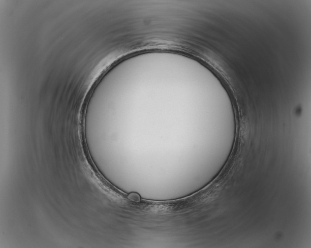 X0000116331283200912151257