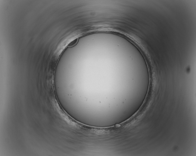 X0000116331289200912151257