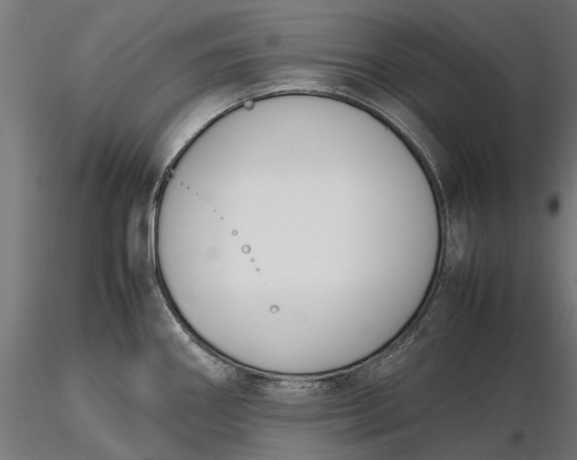 X0000116331290200912151257
