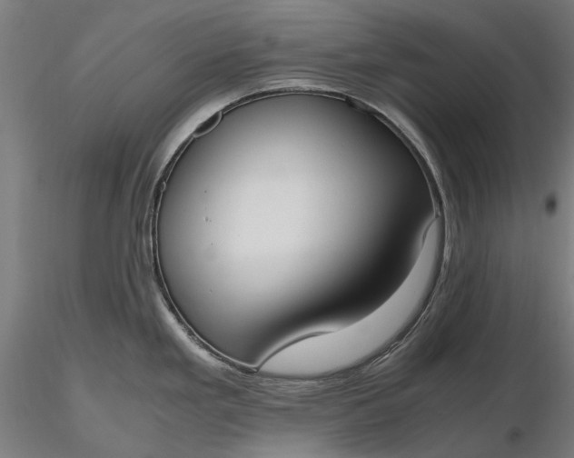 X0000116331293200912151257