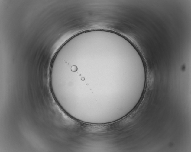 X0000116331294200912151257