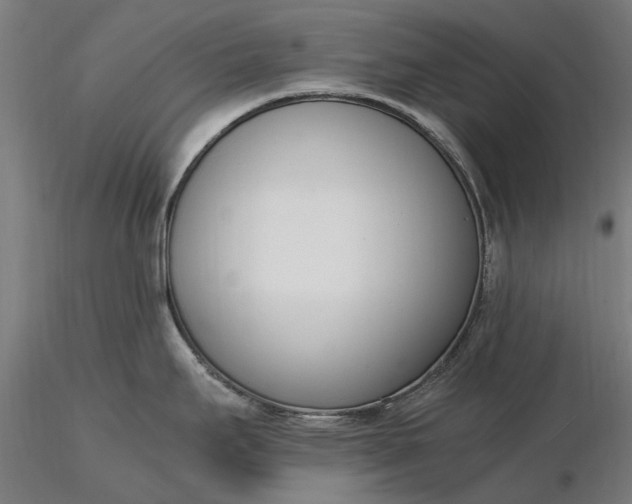 X0000116331295200912151257