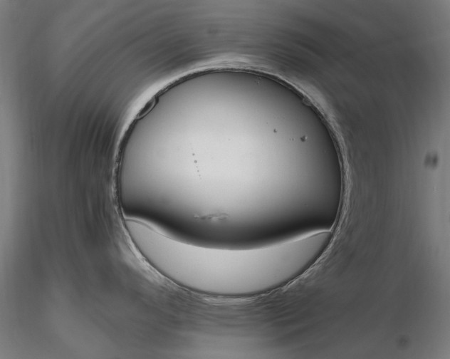 X0000116331296200912151257