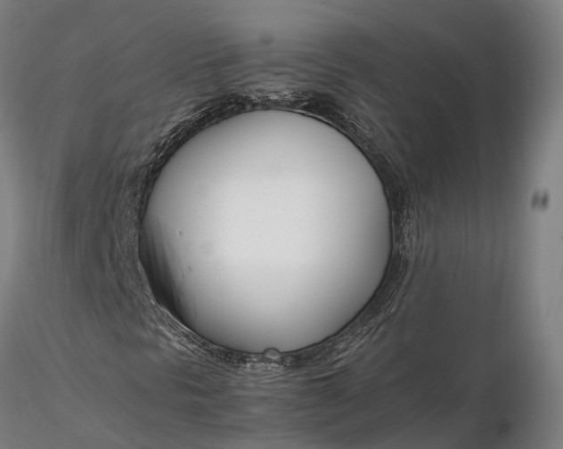 X0000116331297200912151256