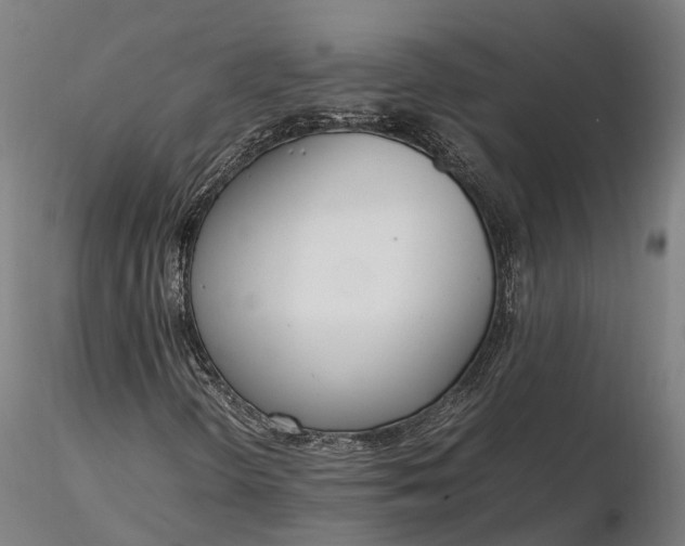 X0000116331298200912151256