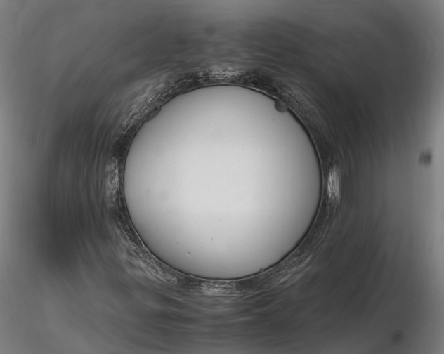 X0000116331299200912151256
