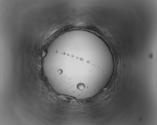 X0000116331301200912151256