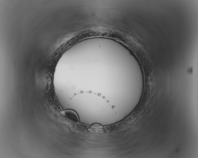 X0000116331302200912151256