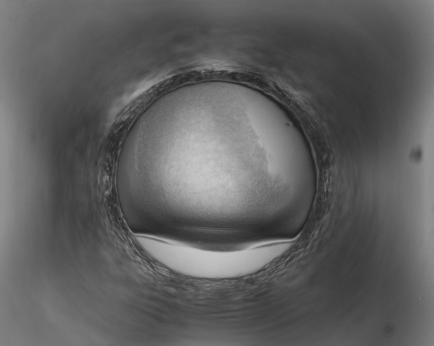 X0000116331303200912151256