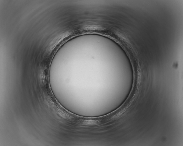 X0000116331305200912151256