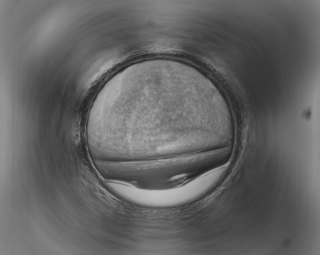 X0000116331306200912151256
