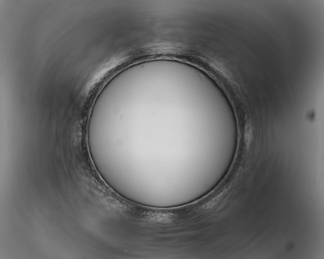 X0000116331309200912151256