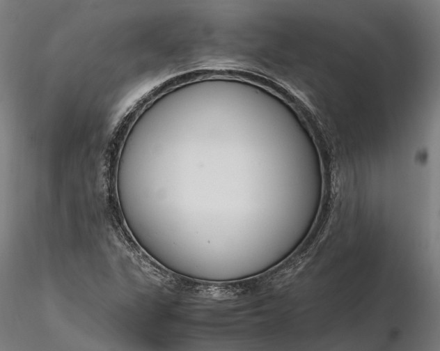 X0000116331311200912151256