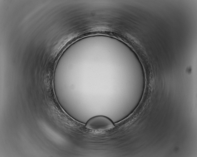 X0000116331313200912151256