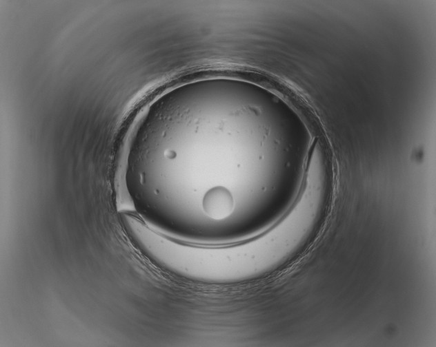 X0000116331314200912151256