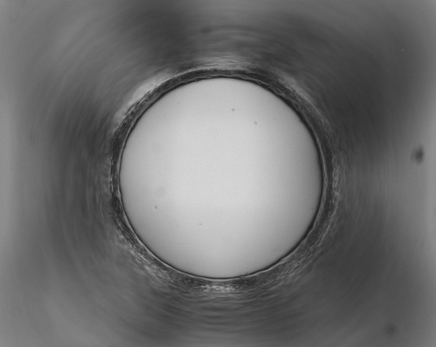 X0000116331315200912151256